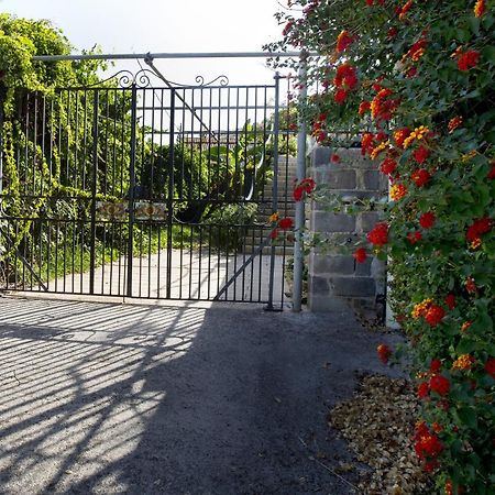 Villa Con Piscina Vista Mare Santo Stefano  Buitenkant foto